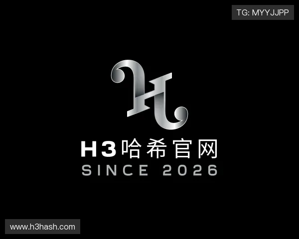 发现H3哈希官网